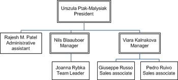Shapes arranged with executive at the top, managers lined up horizontally below, and positions lined up vertically under the managers