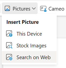 Insert Pictures from Search on Web in PowerPoint for the web