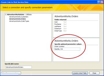 Web Service data connection parameter
