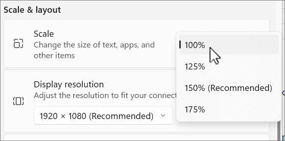 Scale and layout options screenshot.